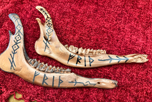 “Frið” Deer Jawbone