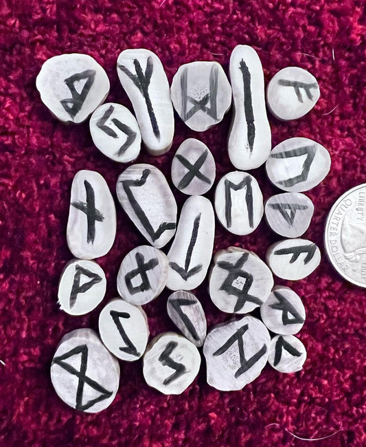 Deer Antler Elder Futhark Rune Set