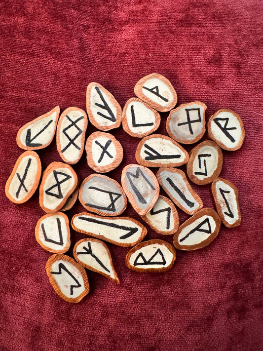 Deer Antler Elder Futhark Runes